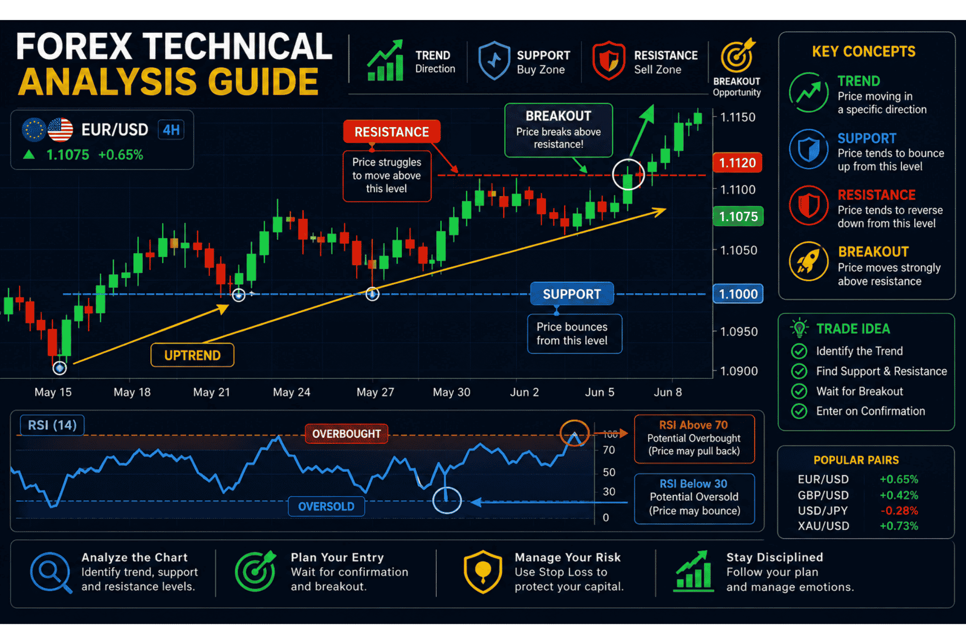 Essential forex trading terminology visual showing support resistance and technical indicators on a forex chart for beginners